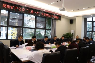 蜀能矿产召开“三重一大”专项整治 工作专题会