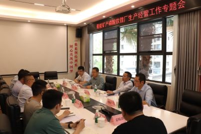蜀能矿产召开磷酸铁锂厂生产经营工作专题会