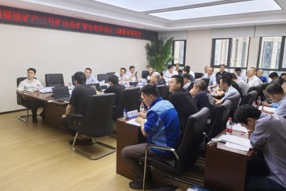 蜀能矿产三号矿山选矿部分初步设计三级联审评审会在成都举行