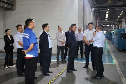 省经济合作局托底性帮扶工作组到蜀能矿产磷酸铁锂厂调研